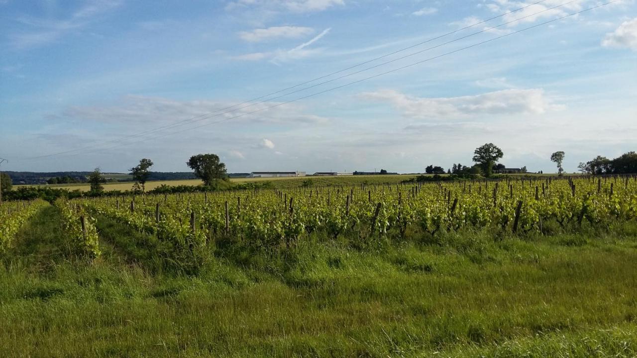 Gite-Civray-De-Touraine Maison De Denise المظهر الخارجي الصورة